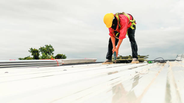 4 Ply Roofing in Romeo, MI