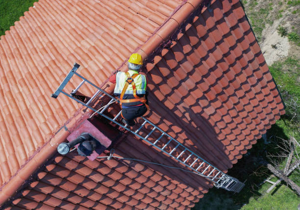 Best Asphalt Shingles Roofing  in Romeo, MI